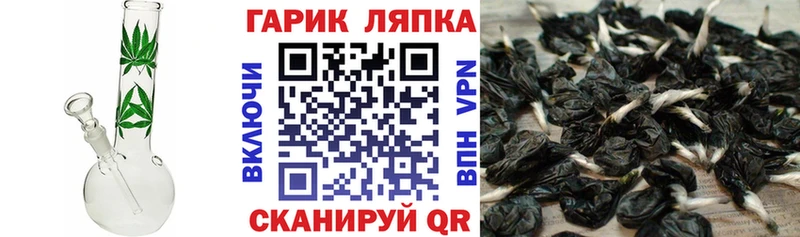 ГАШ ice o lator  Козьмодемьянск 