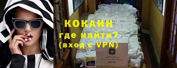 твердый Алексин