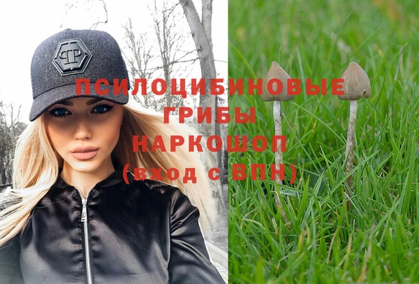 дурь Алексеевка