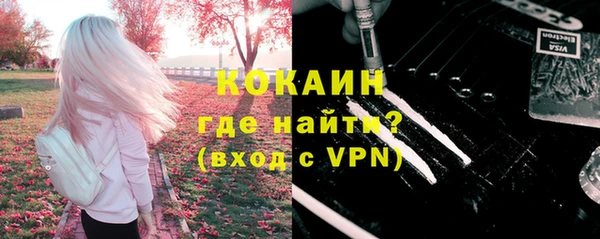 твердый Алексин